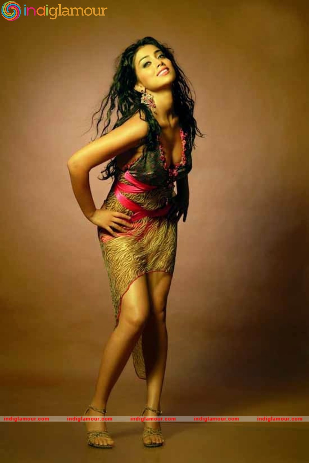 Shriya Saran Actress hd photo