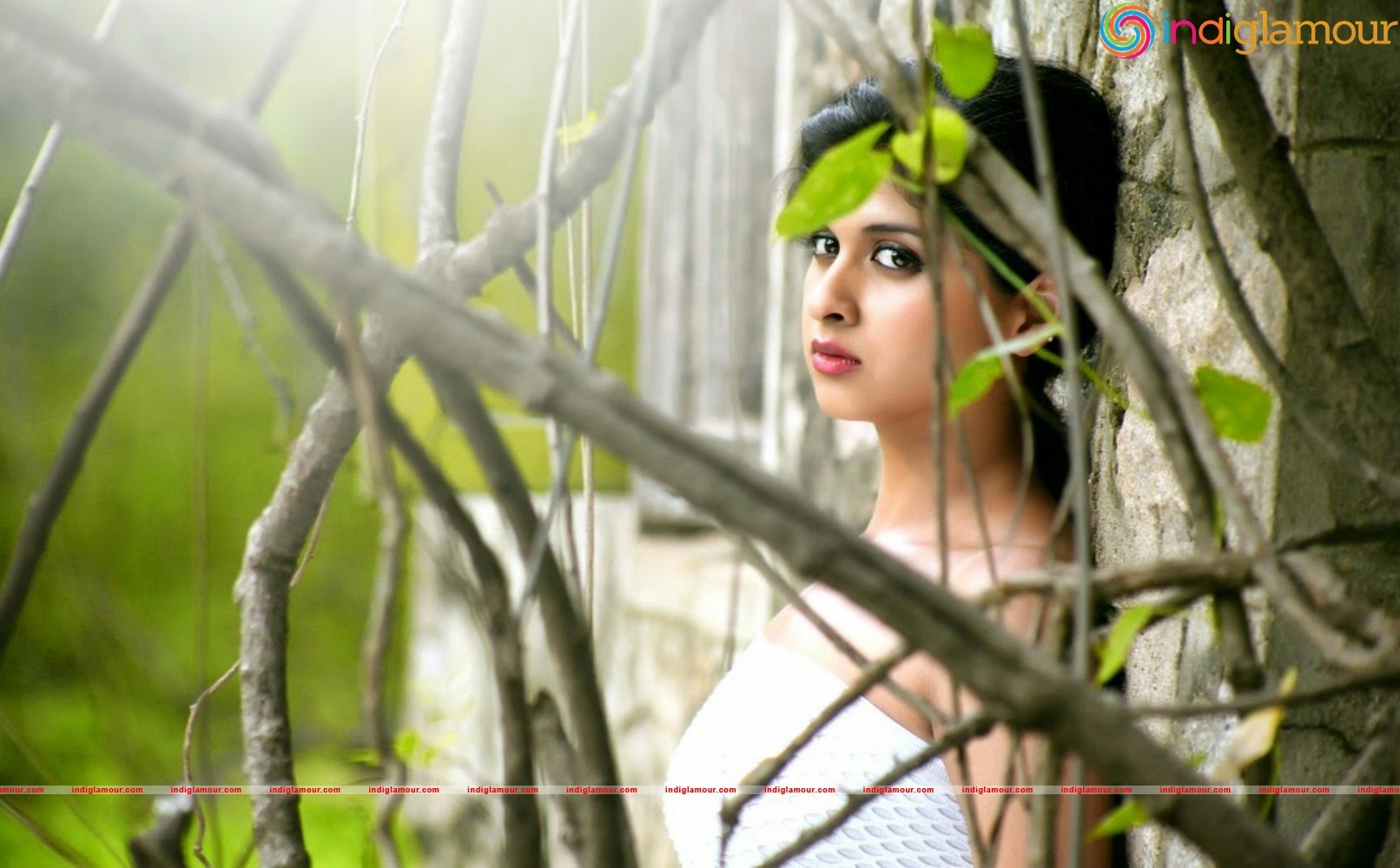 Naveena Actress hd photo