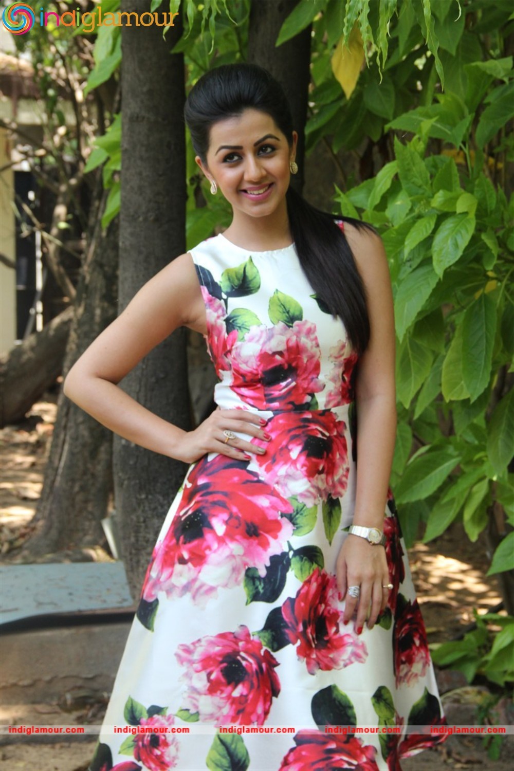 Nikki Galrani Actress hd photo