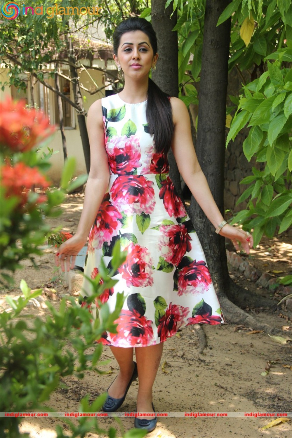 Nikki Galrani Actress hd photo