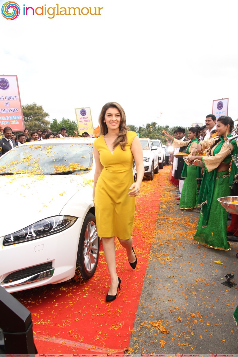 Hansika Motwani Actress hd photo