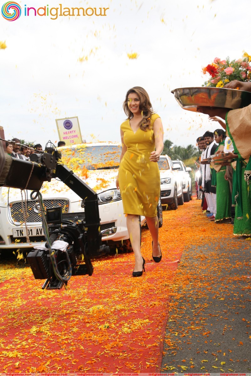Hansika Motwani Actress hd photo