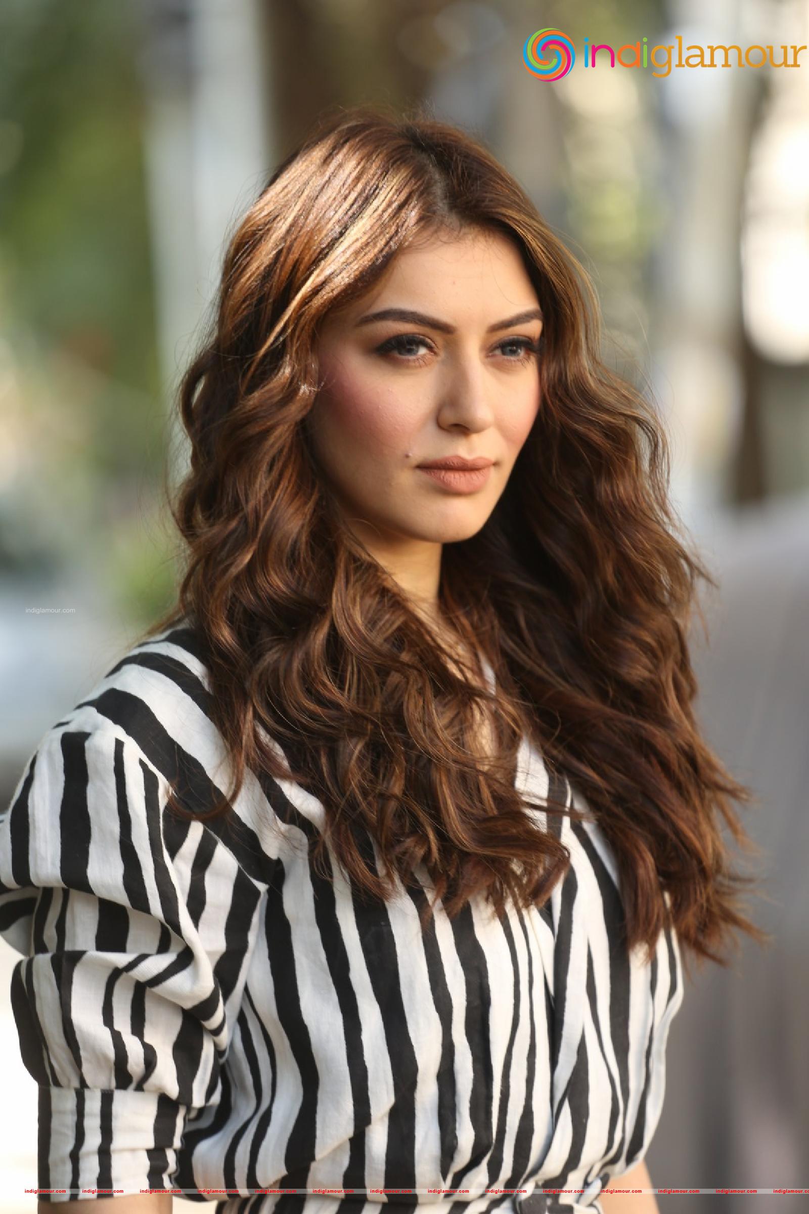 Hansika Motwani Actress hd photo