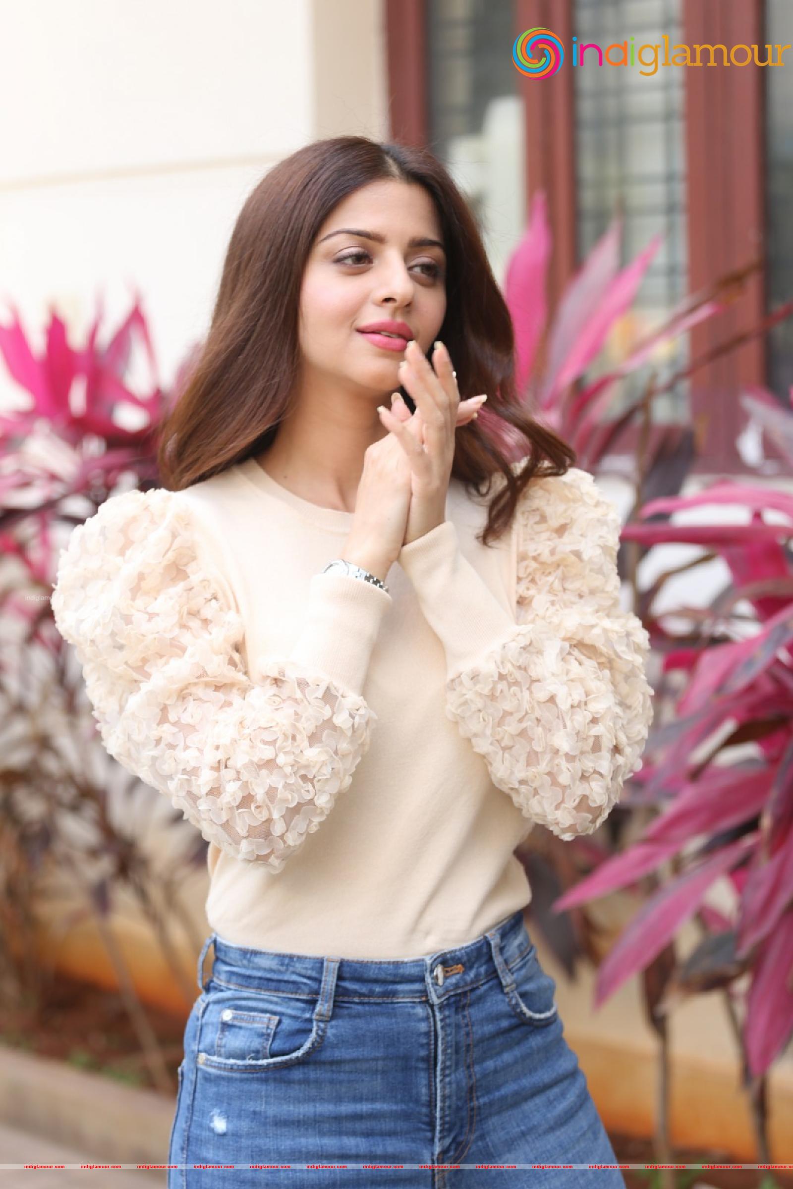 Vedhika Actress hd photo