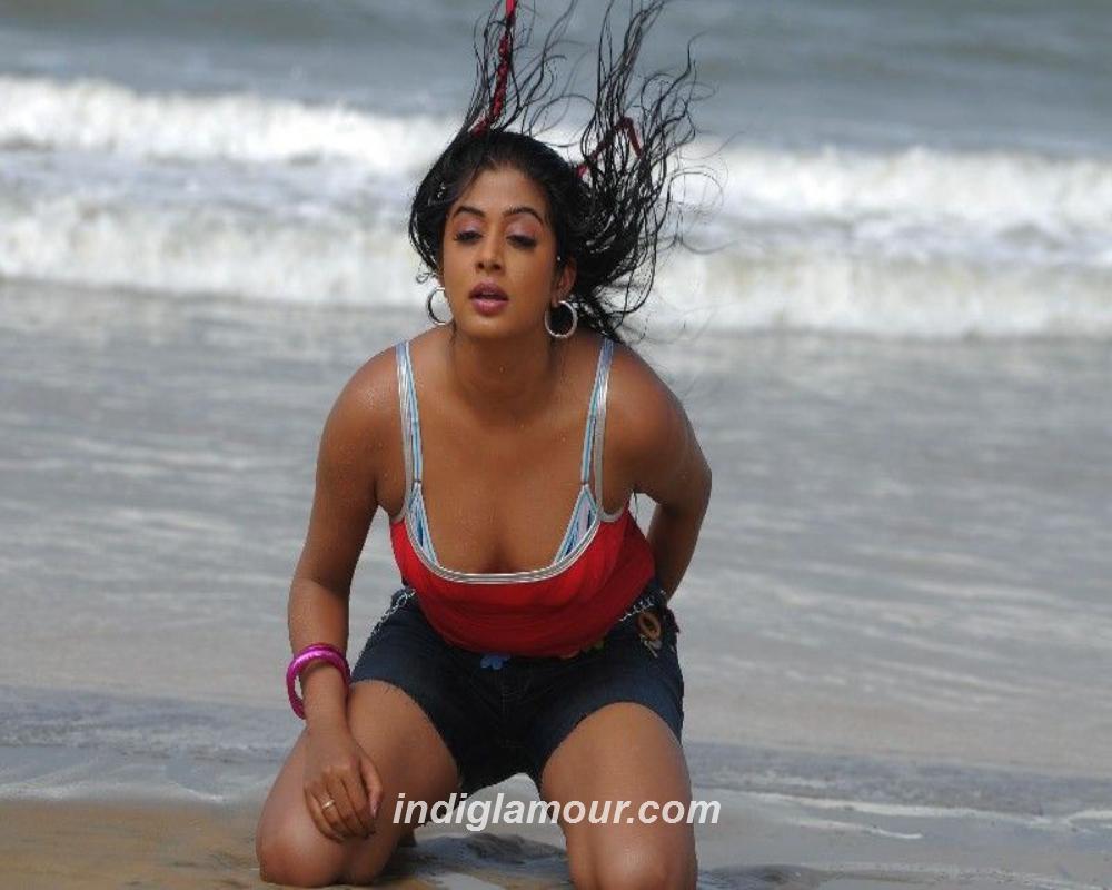 Priyamani Actress hd photo