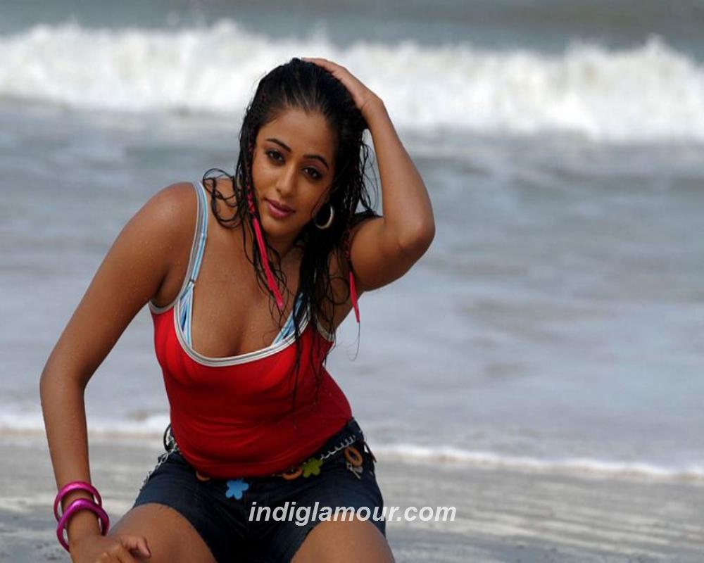 Priyamani Actress hd photo