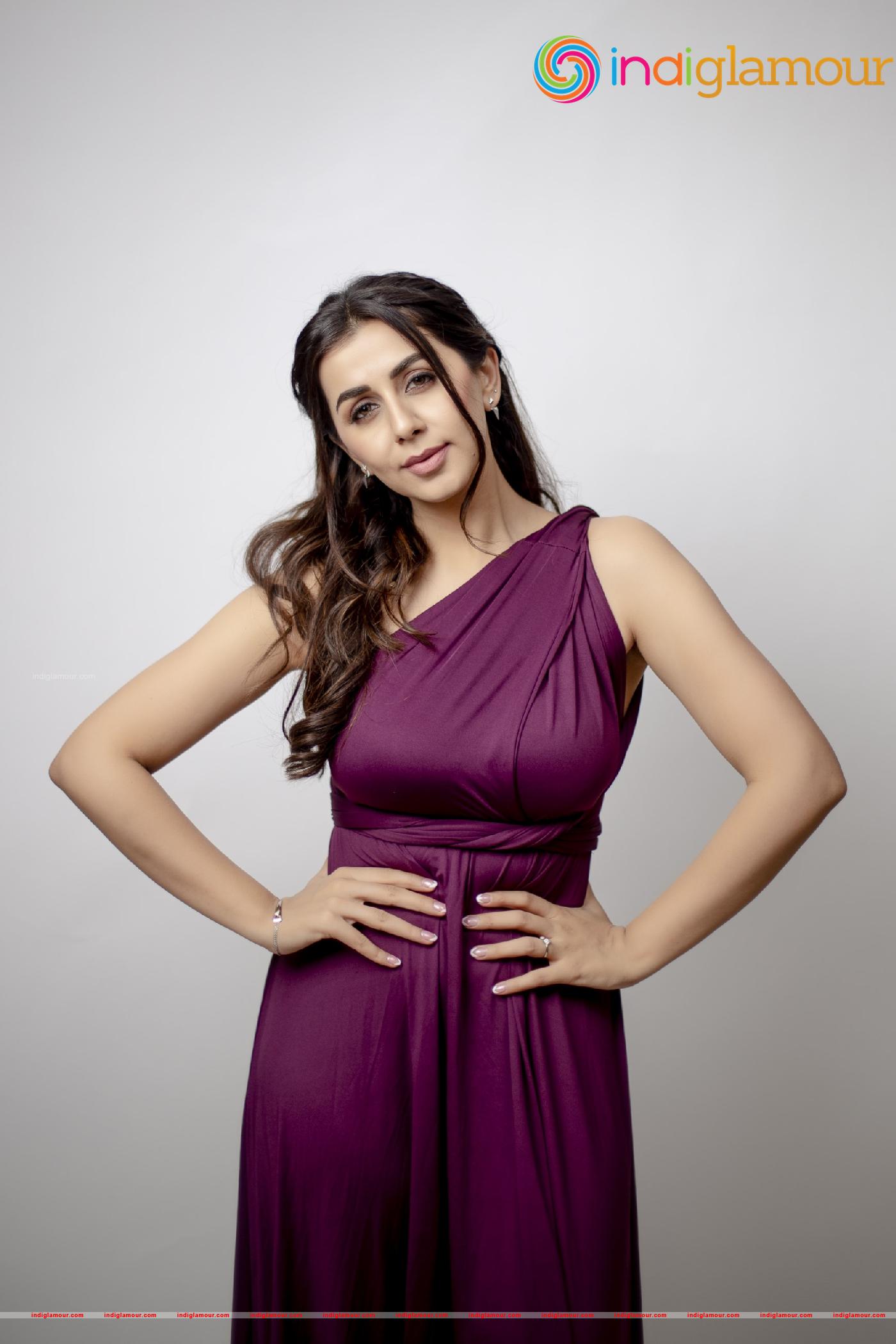 Nikki Galrani Actress hd photo