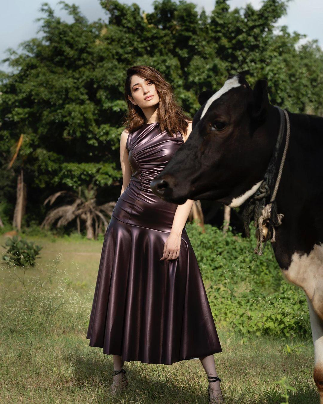 Tamannaah Bhatia Actress hd photo