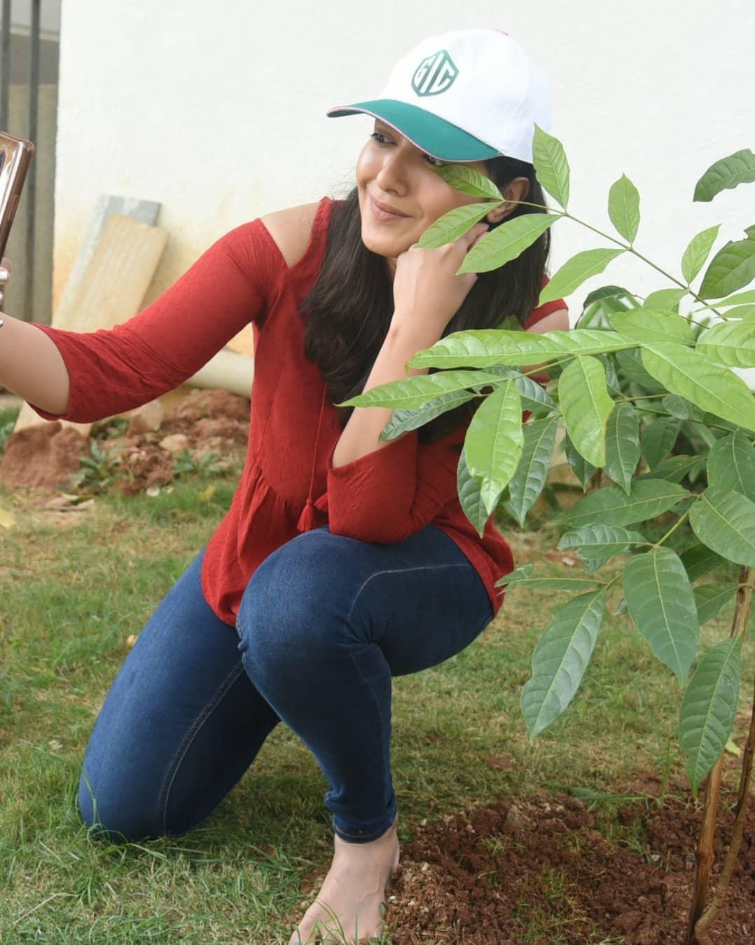 Catherine Tresa Actress hd photo