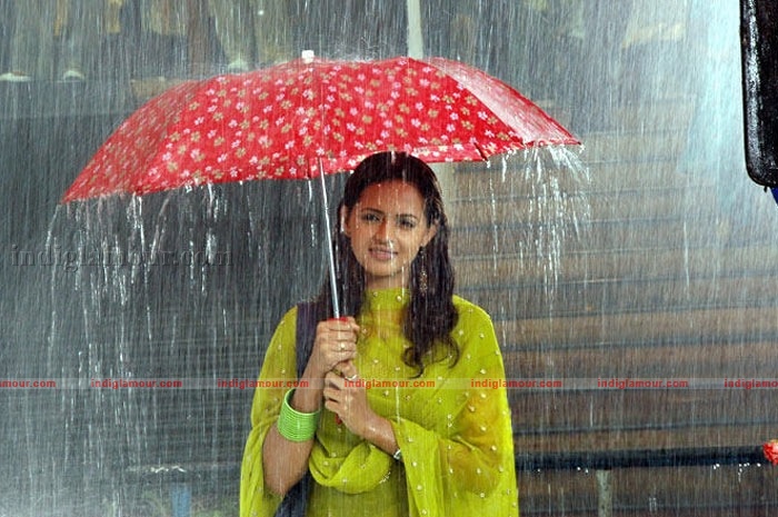 Bhavana Actress hd photo