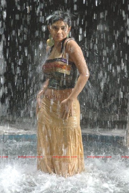Meera Chopra Actress hd photo