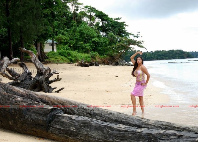 Namitha Actress hd photo