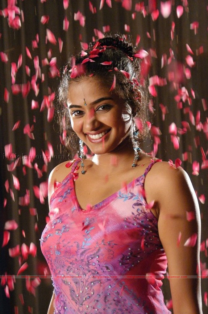 Priyamani Actress hd photo