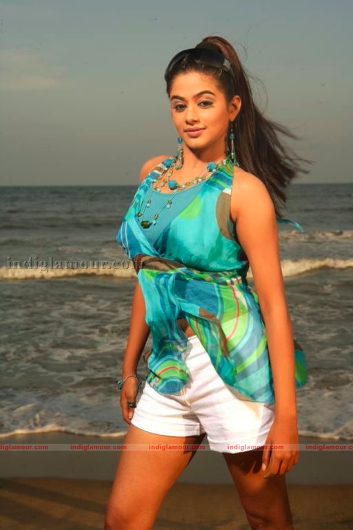 Priyamani Actress hd photo
