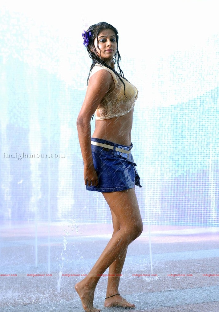Priyamani Actress hd photo