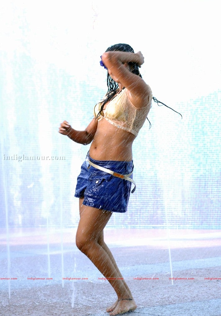 Priyamani Actress hd photo