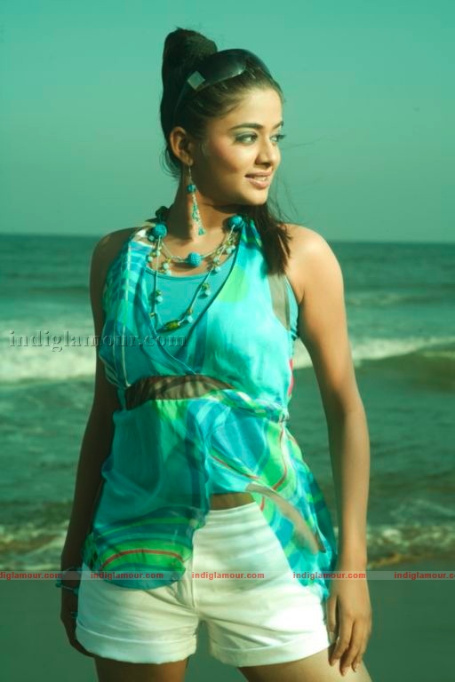 Priyamani Actress hd photo