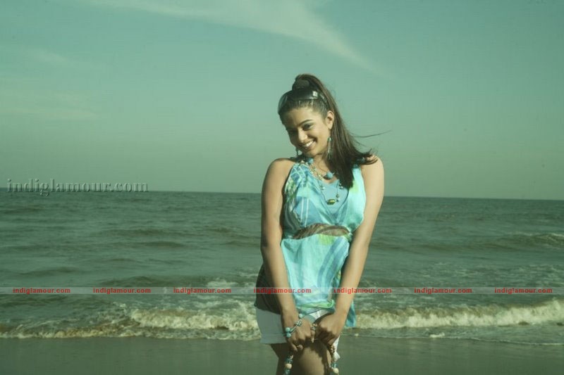 Priyamani Actress hd photo