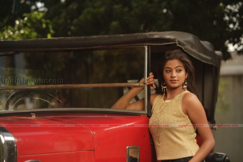 Priyamani Actress hd photo
