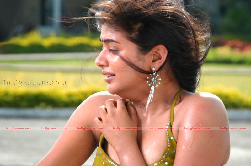 Priyamani Actress hd photo
