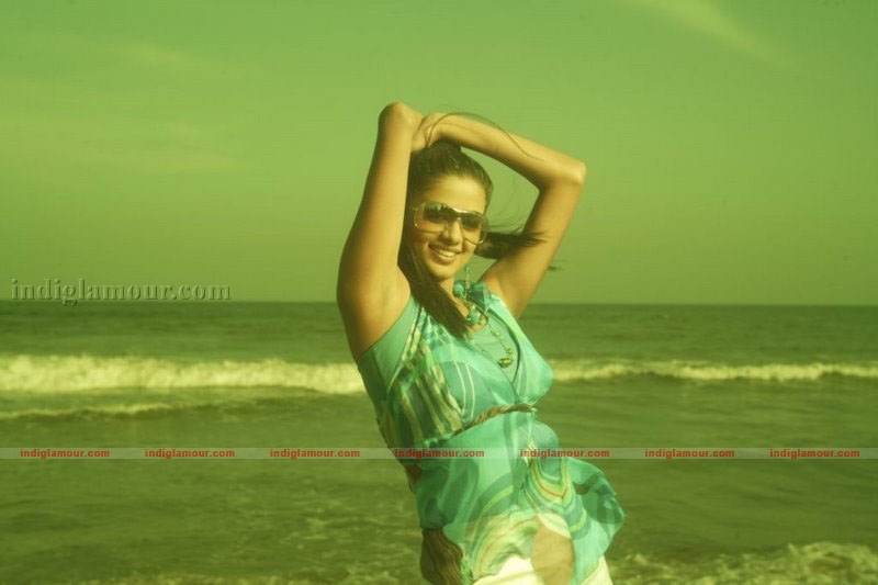 Priyamani Actress hd photo