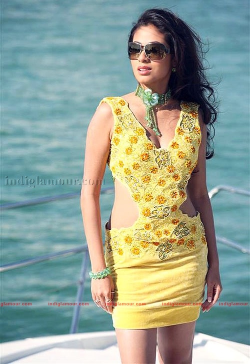 Sada Actress hd photo