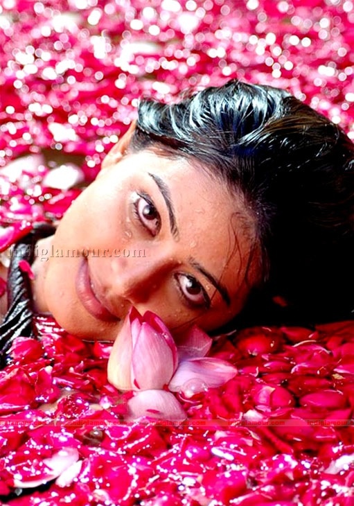 Sneha Actress hd photo