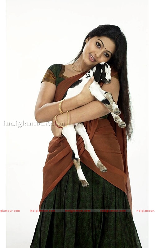 Sneha Actress hd photo