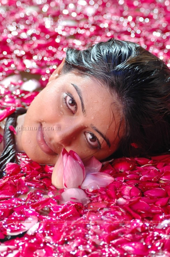 Sneha Actress hd photo