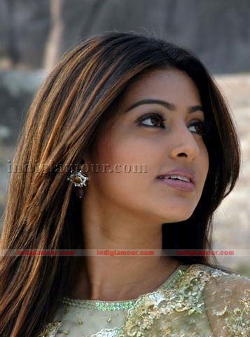 Sneha Actress hd photo