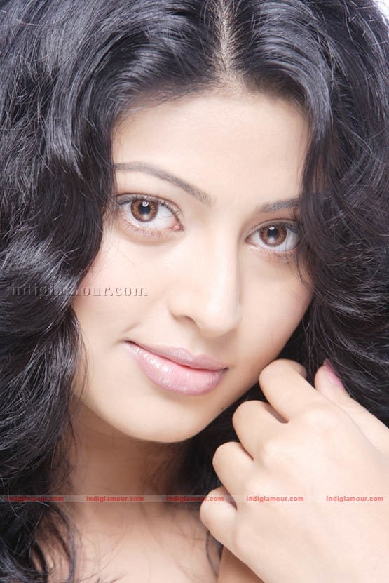 Sneha Actress hd photo