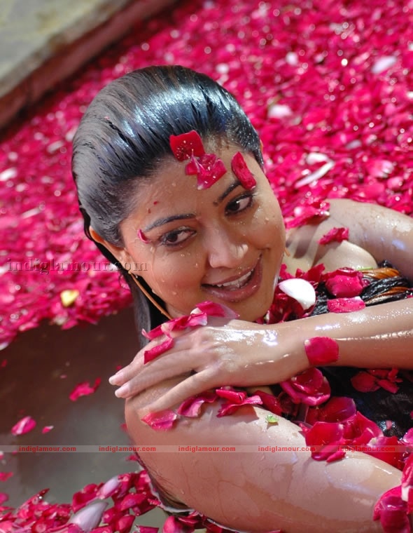 Sneha Actress hd photo