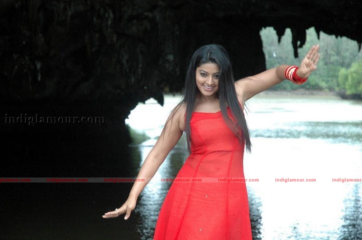 Sneha Actress hd photo