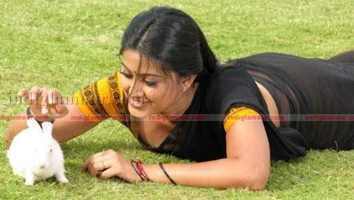 Sneha Actress hd photo