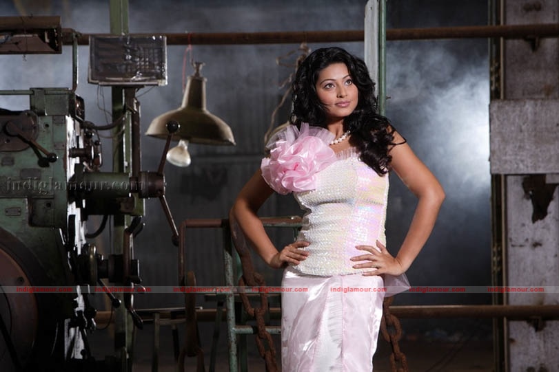 Sneha Actress hd photo