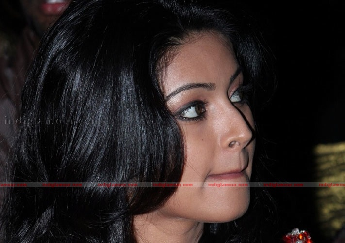 Sneha Actress hd photo