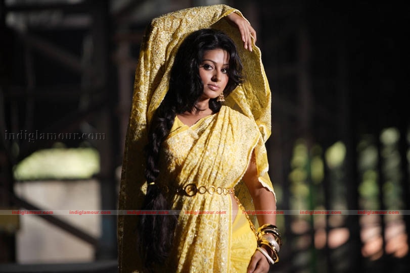 Sneha Actress hd photo