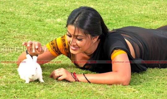Sneha Actress hd photo