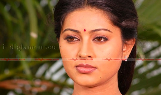 Sneha Actress hd photo
