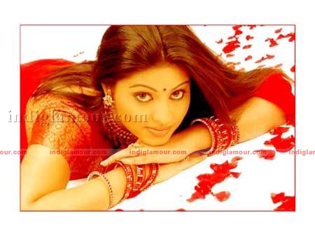 Sneha Actress hd photo