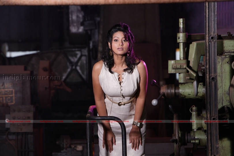 Sneha Actress hd photo