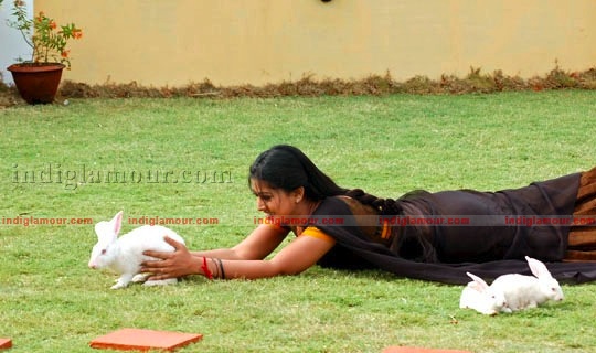 Sneha Actress hd photo