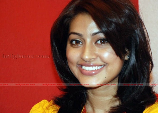 Sneha Actress hd photo