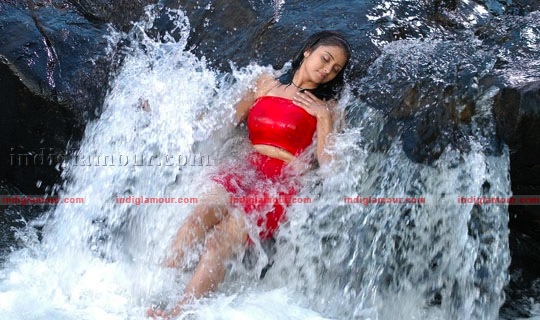 Sunita Varma Actress hd photo