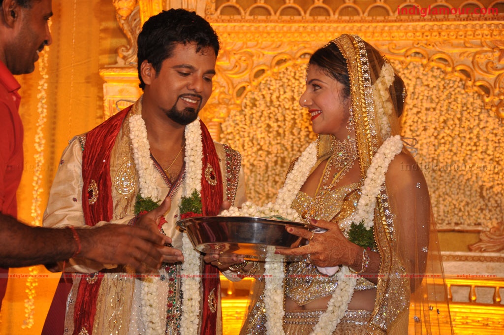 Rambha Wedding Reception Event hd photo