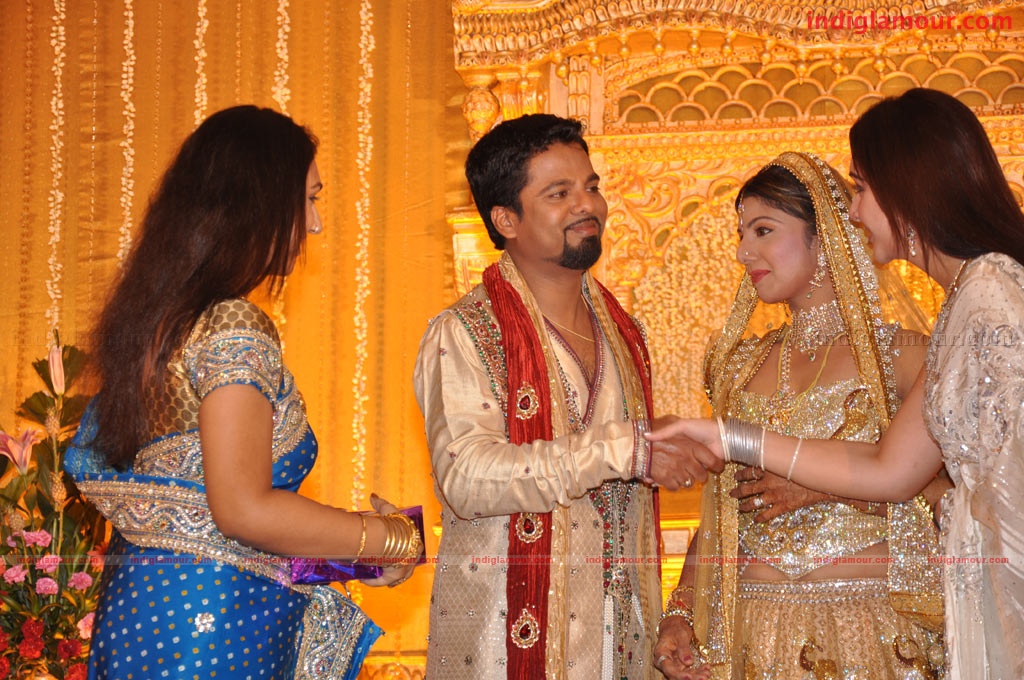 Rambha Wedding Reception Event hd photo