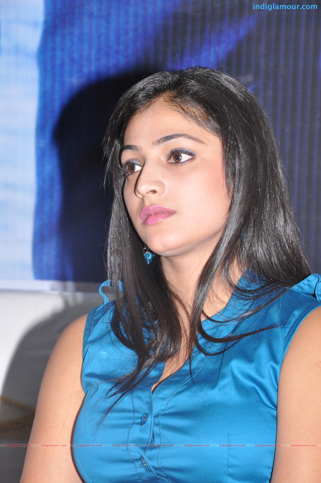 Vallakottai Audio Launch Event hd photo