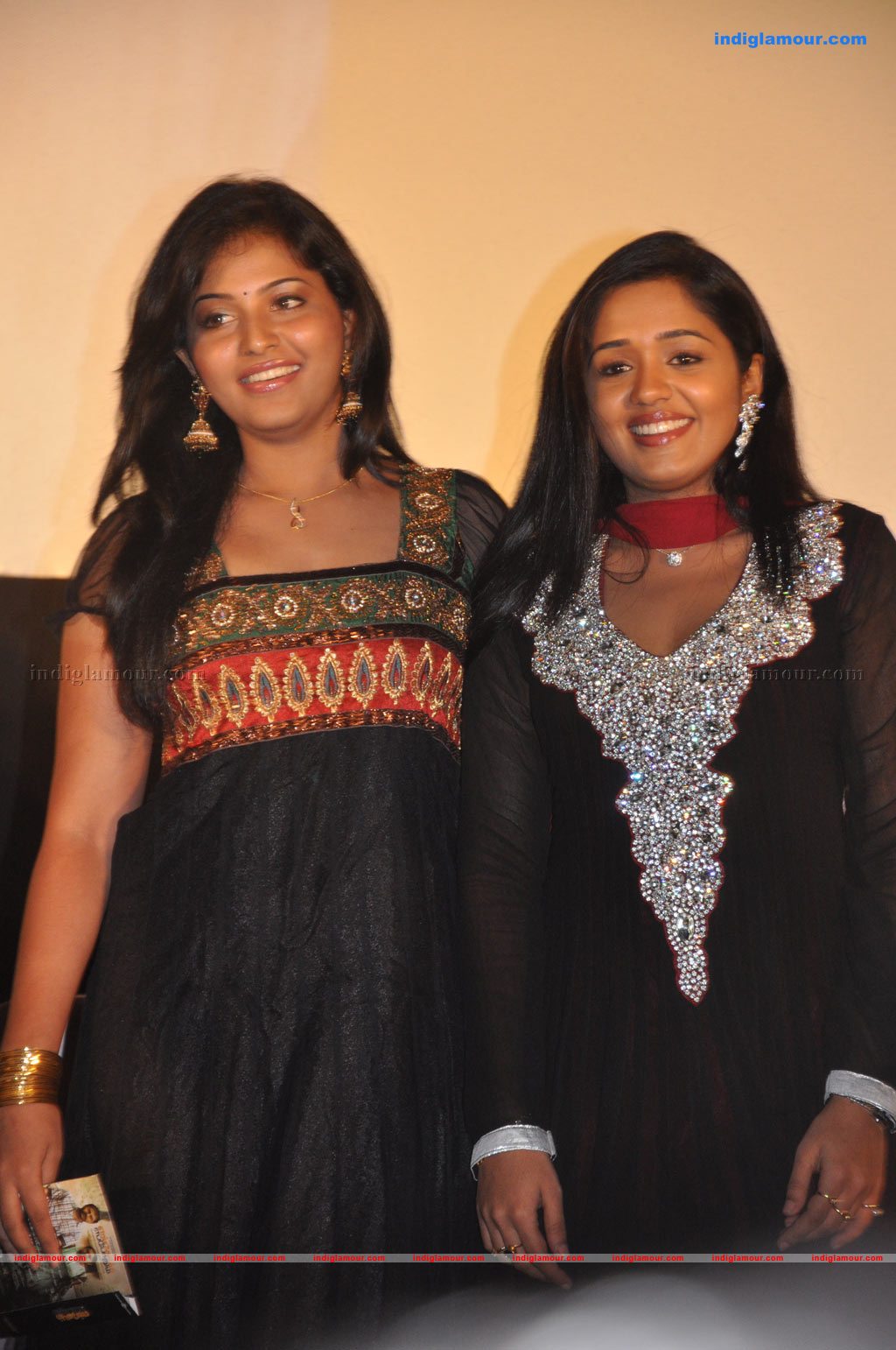 Engeyum Eppodhum Audio Launch Photos Event hd photo