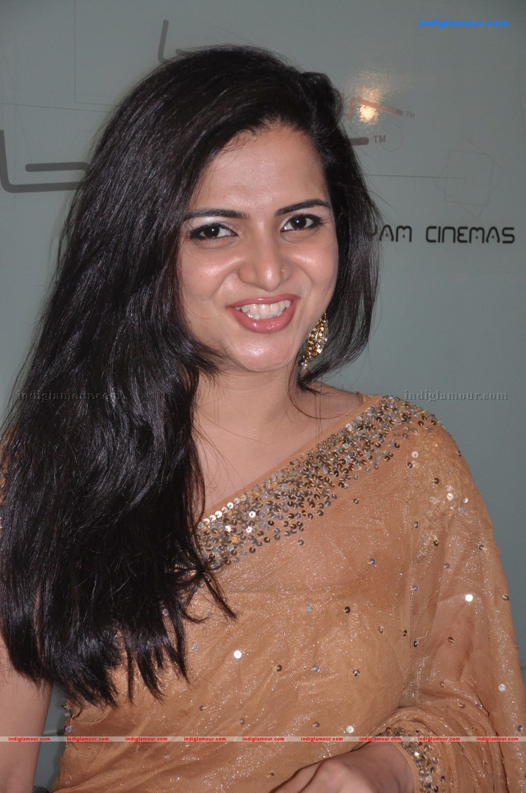 Engeyum Eppodhum Audio Launch Photos Event hd photo