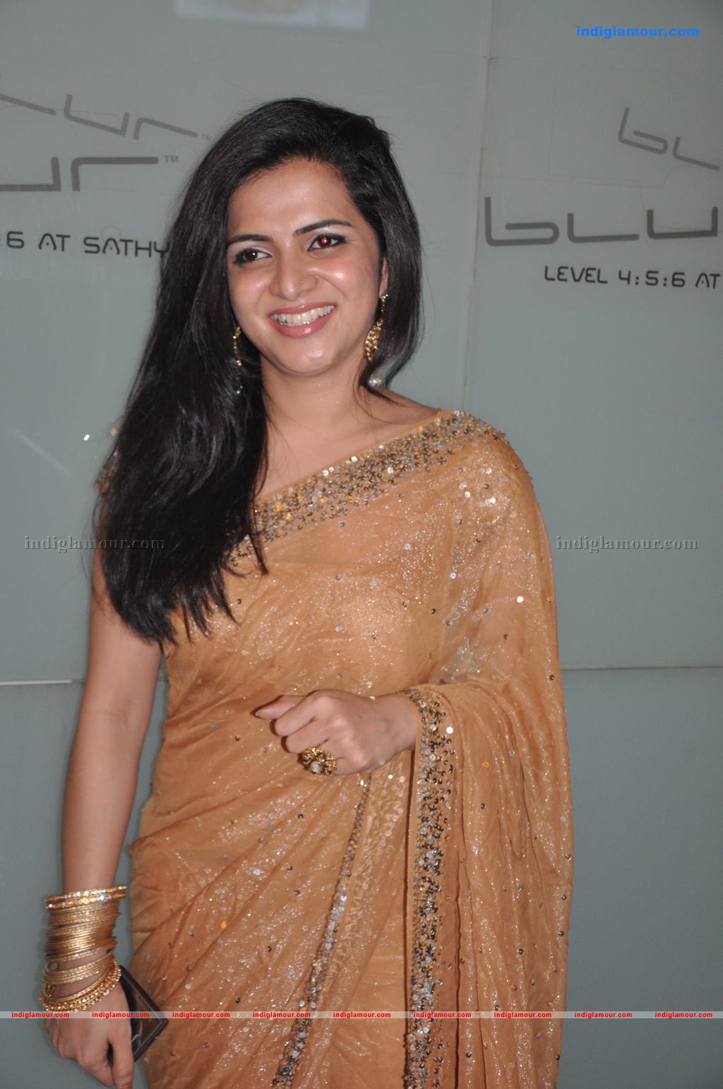 Engeyum Eppodhum Audio Launch Photos Event hd photo
